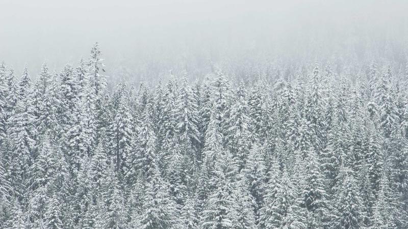 钻石国际h5特色亮点 — 自研渲染引擎